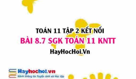 Bài 8.7 SGK Toán 11 Tập 2 Kết nối tri thức